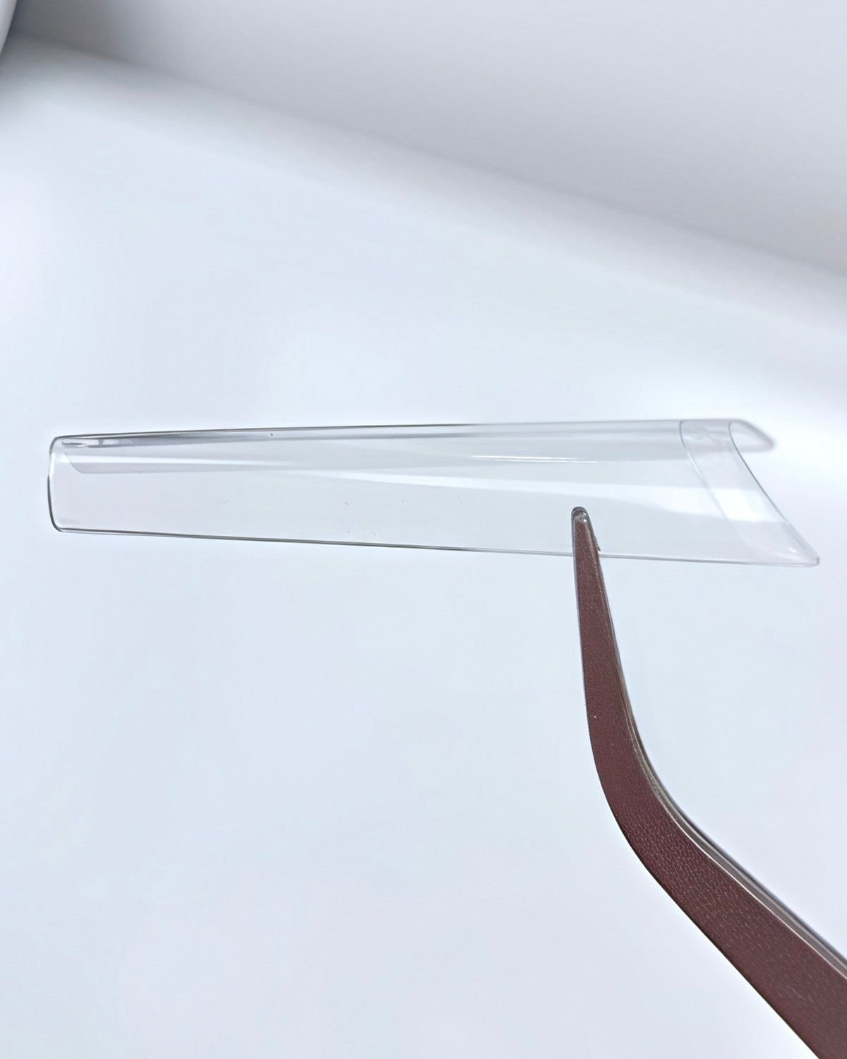 Negletips • Long coffin • Transparent