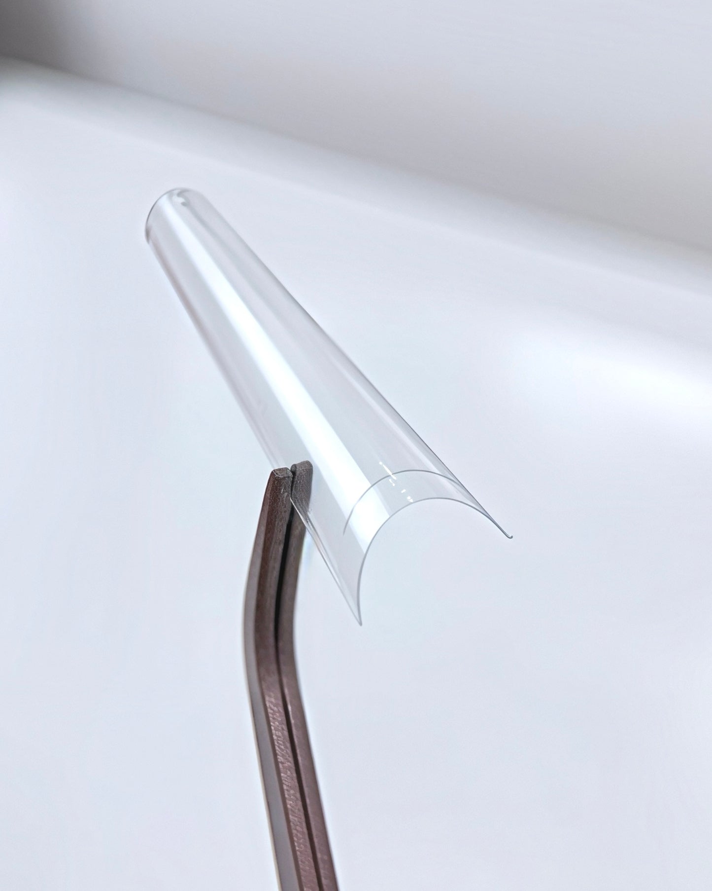 Negletips • Long coffin • Transparent
