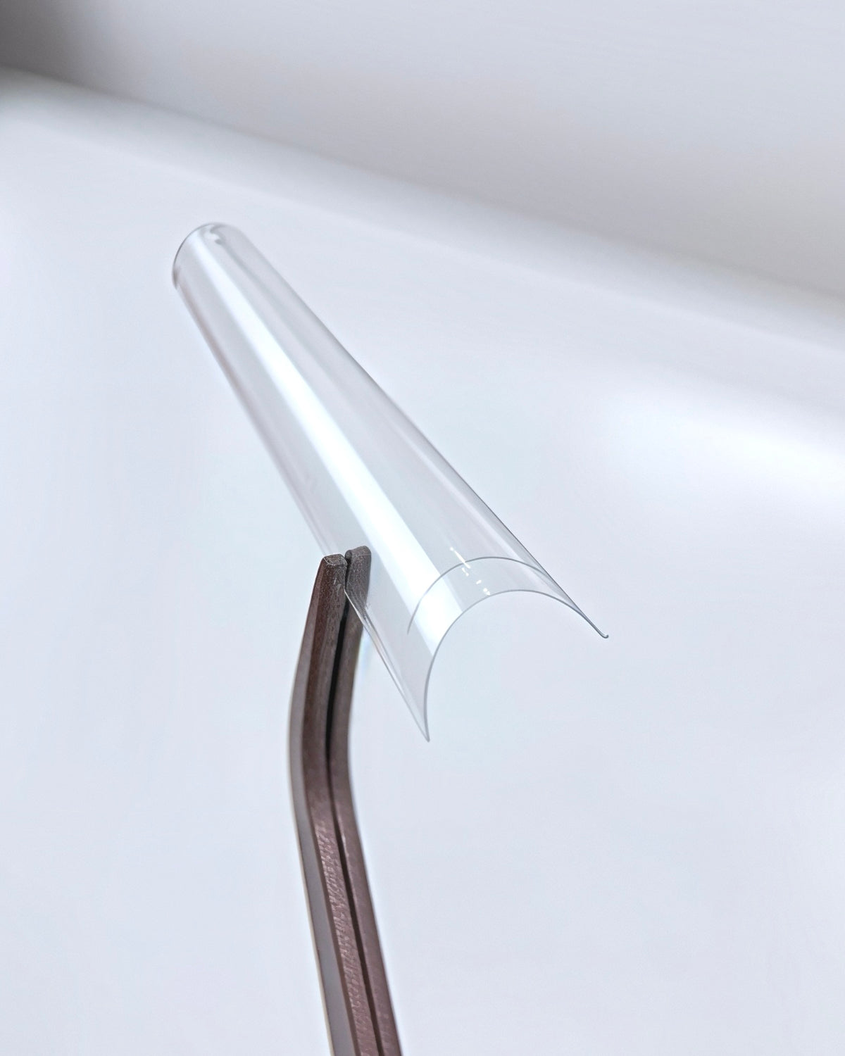 Negletips • Long coffin • Transparent